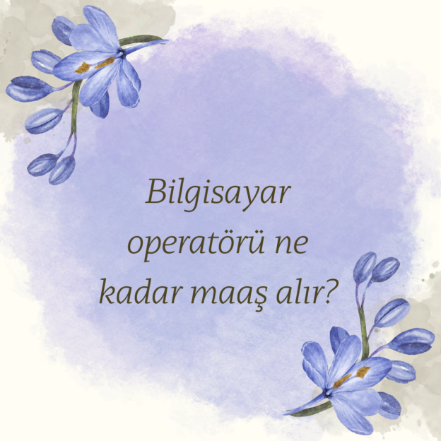 Bilgisayar operatörü ne kadar maaş alır? 1