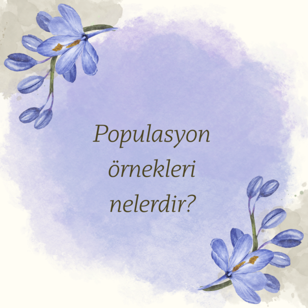 Populasyon örnekleri nelerdir? 1