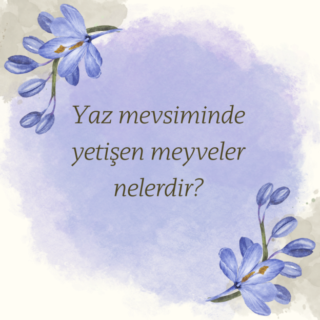 Yaz mevsiminde yetişen meyveler nelerdir? 1