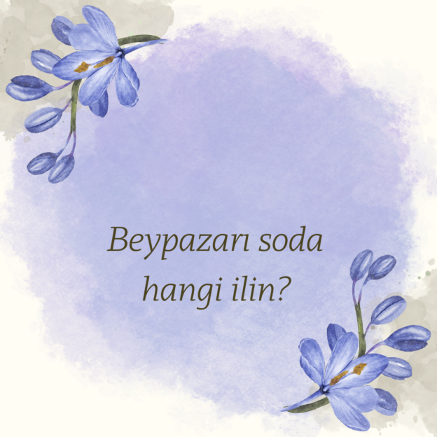 Beypazarı soda hangi ilin? 1