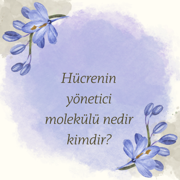 Hücrenin yönetici molekülü nedir kimdir? 1