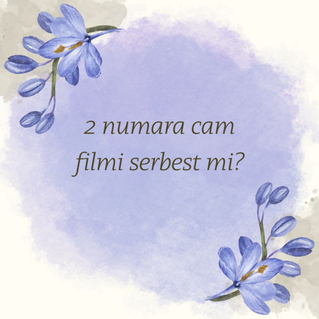 2 numara cam filmi serbest mi? 1