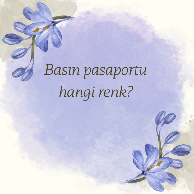 Basın pasaportu hangi renk? 1