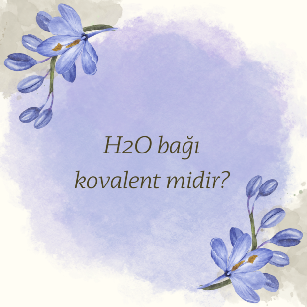 H2O bağı kovalent midir? 1