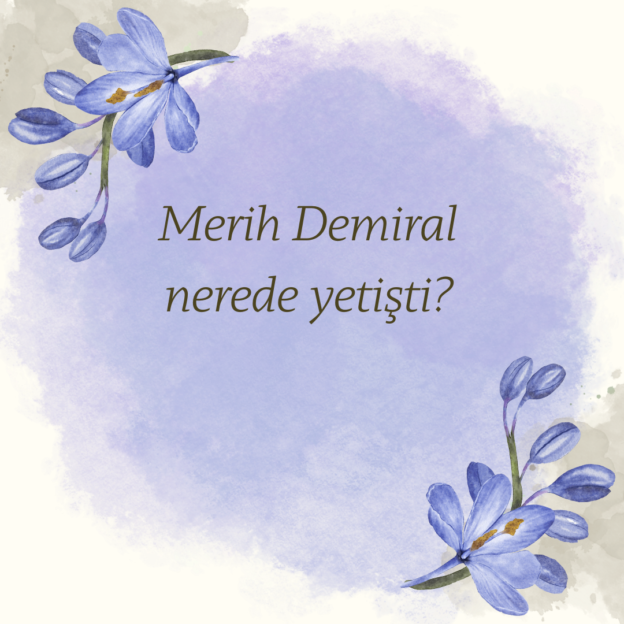 Merih Demiral nerede yetişti? 1