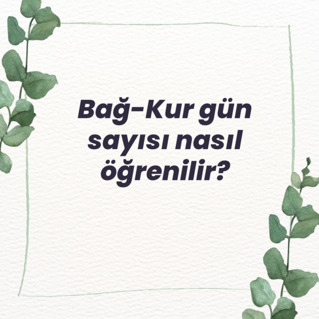 Bağ-Kur gün sayısı nasıl öğrenilir? 1