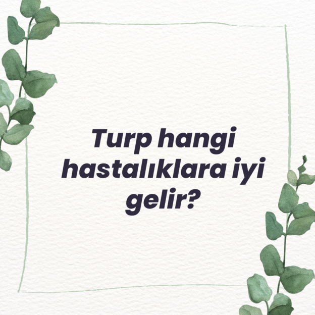 Turp hangi hastalıklara iyi gelir? 1