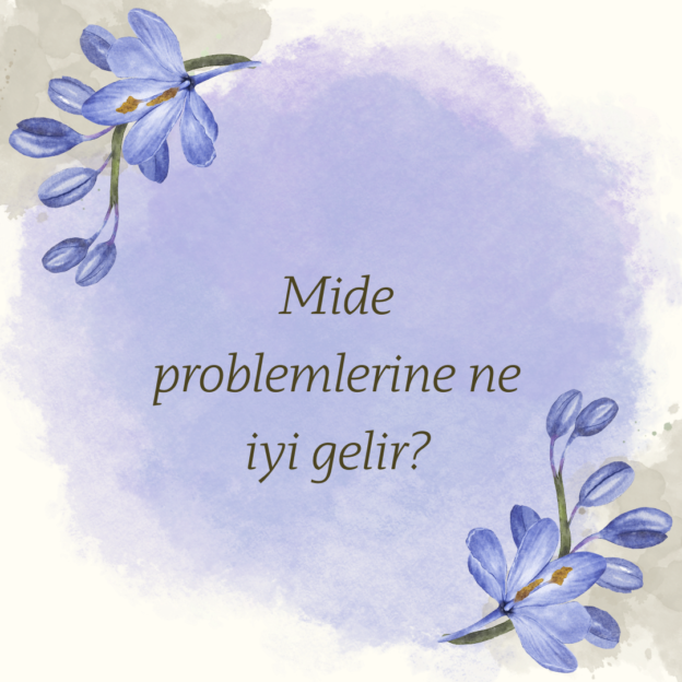 Mide problemlerine ne iyi gelir? 1