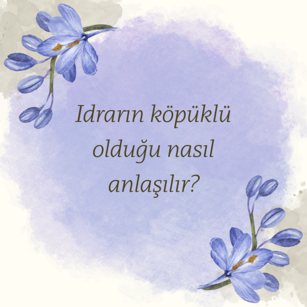 Idrarın köpüklü olduğu nasıl anlaşılır? 1