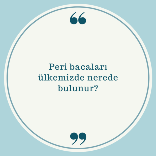 Peri bacaları ülkemizde nerede bulunur? 1