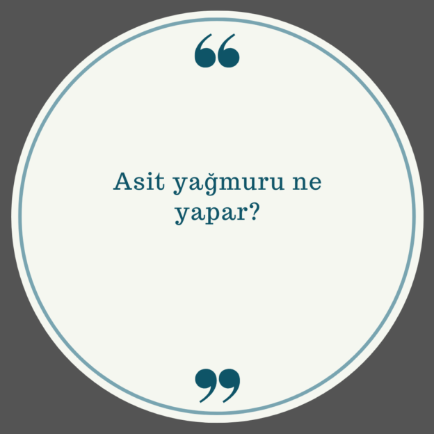 Asit yağmuru ne yapar? 1