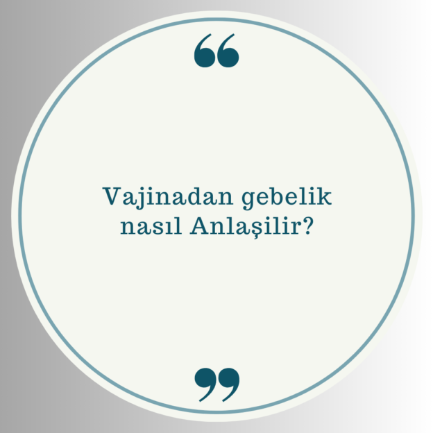 Vajinadan gebelik nasıl Anlaşilir? 1