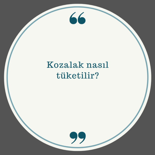 Kozalak nasıl tüketilir? 1