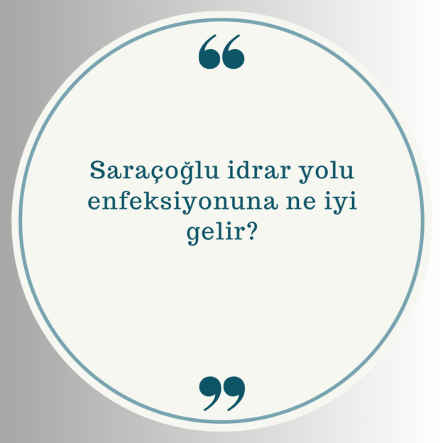 Saraçoğlu idrar yolu enfeksiyonuna ne iyi gelir? 1