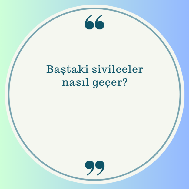 Baştaki sivilceler nasıl geçer? 1