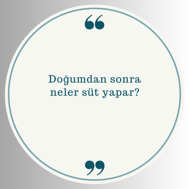 Doğumdan sonra neler süt yapar? 1