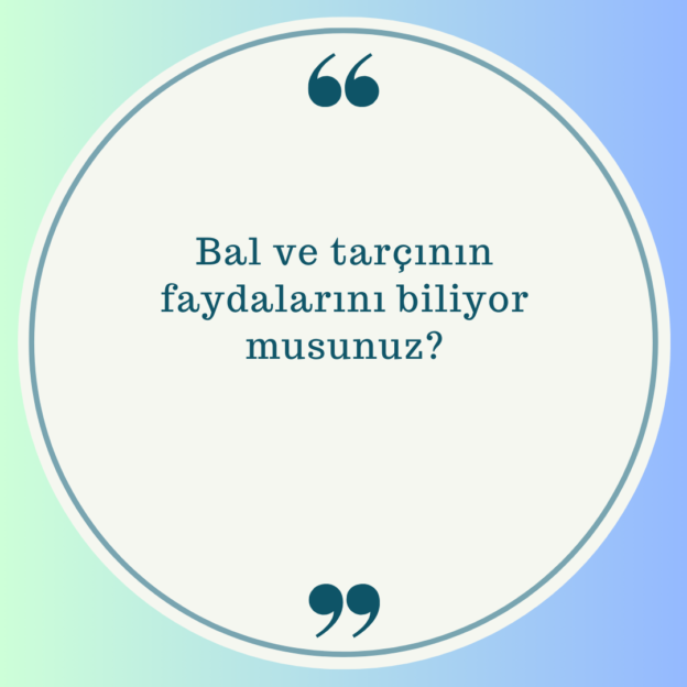 Bal ve tarçının faydalarını biliyor musunuz? 1