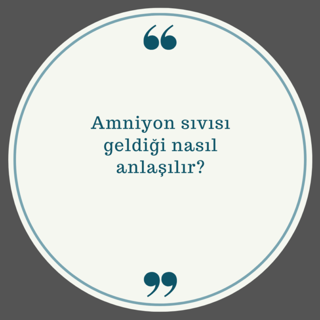 Amniyon sıvısı geldiği nasıl anlaşılır? 1