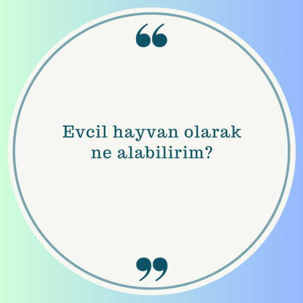 Evcil hayvan olarak ne alabilirim? 1