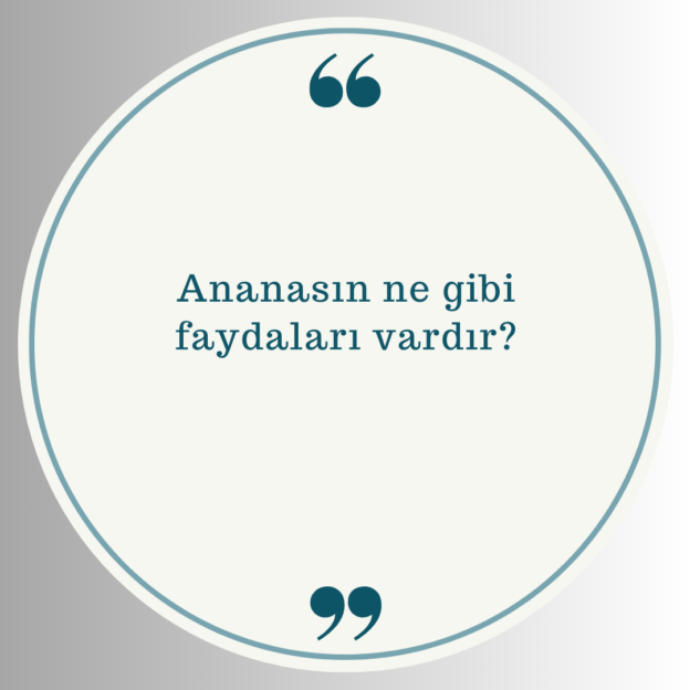 Ananasın ne gibi faydaları vardır? 1