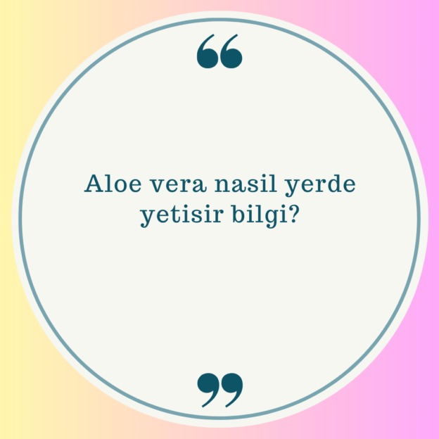 Aloe vera nasil yerde yetisir bilgi? 1