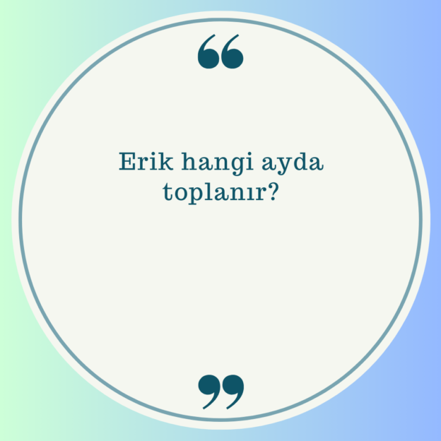 Erik hangi ayda toplanır? 1