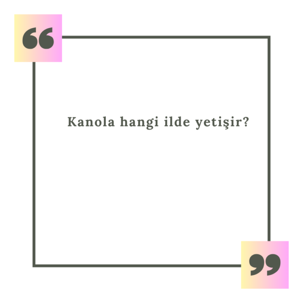 Kanola hangi ilde yetişir? 1