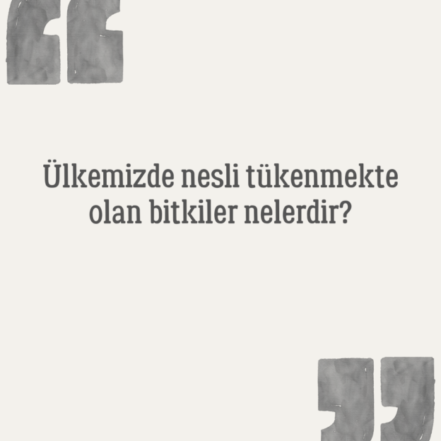 Ülkemizde nesli tükenmekte olan bitkiler nelerdir? 1