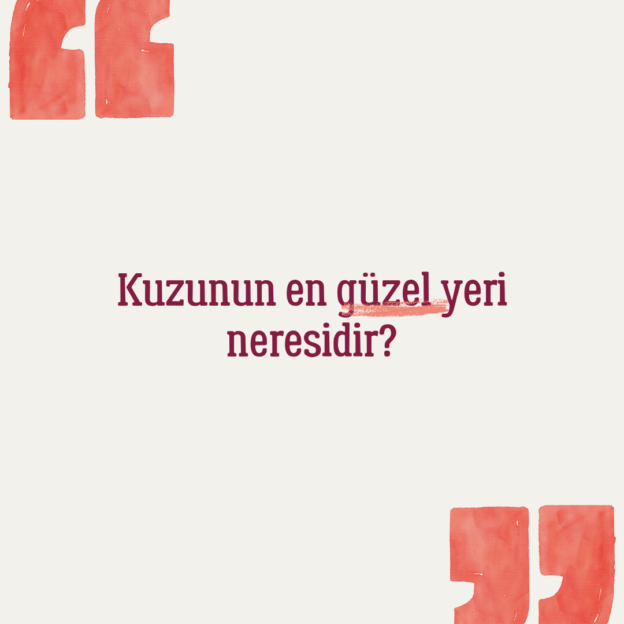 Kuzunun en güzel yeri neresidir? 1