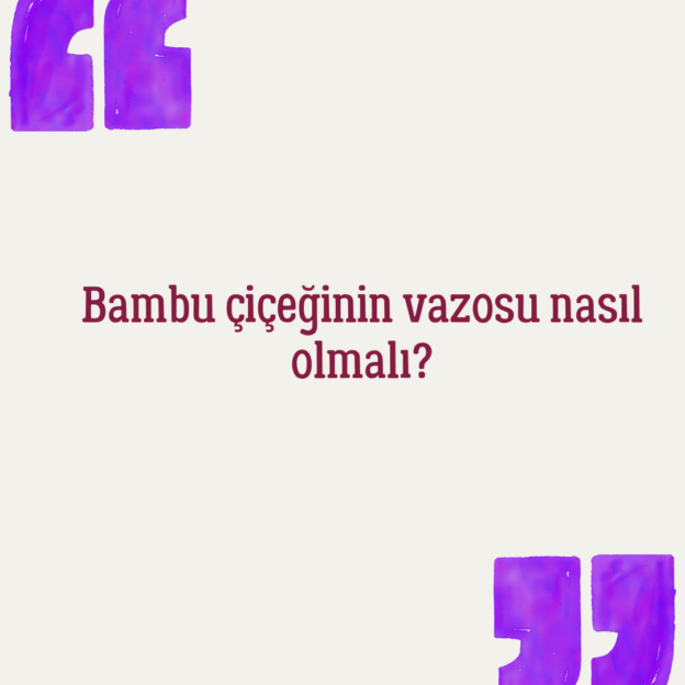 Bambu çiçeğinin vazosu nasıl olmalı? 1