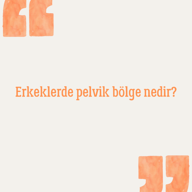 Erkeklerde pelvik bölge nedir? 1