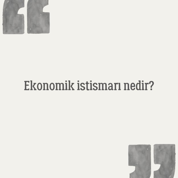 Ekonomik istismarı nedir? 1