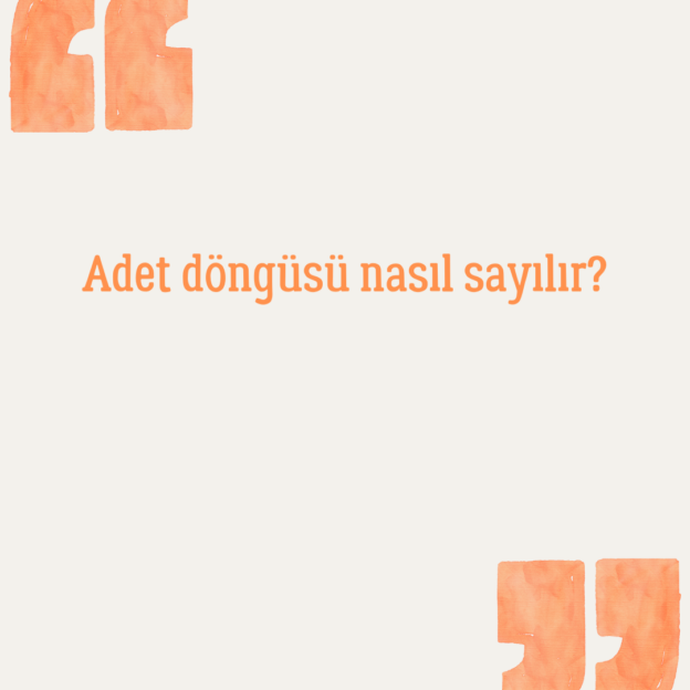 Adet döngüsü nasıl sayılır? 1