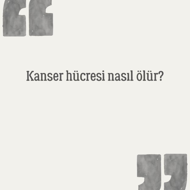 Kanser hücresi nasıl ölür? 1