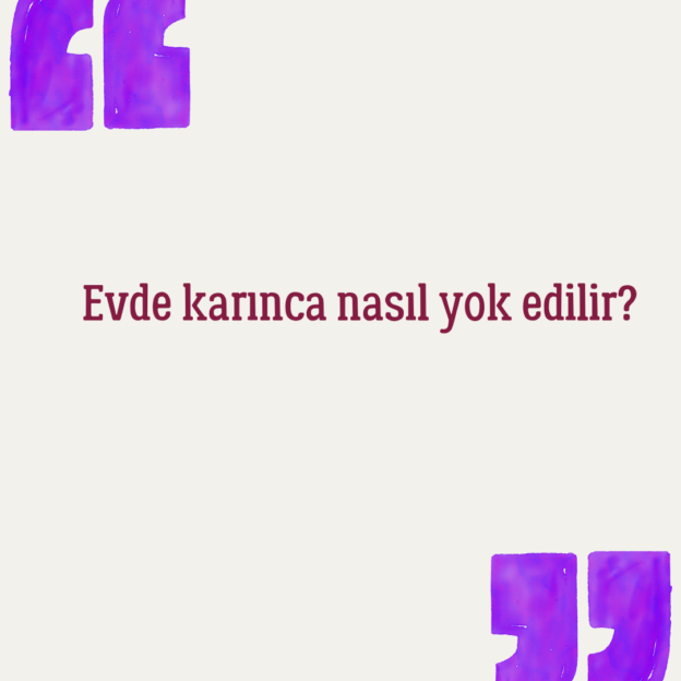 Evde karınca nasıl yok edilir? 1