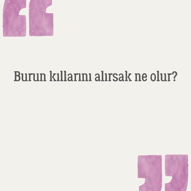 Burun kıllarını alırsak ne olur? 1