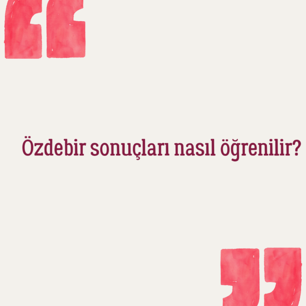 Özdebir sonuçları nasıl öğrenilir? 1