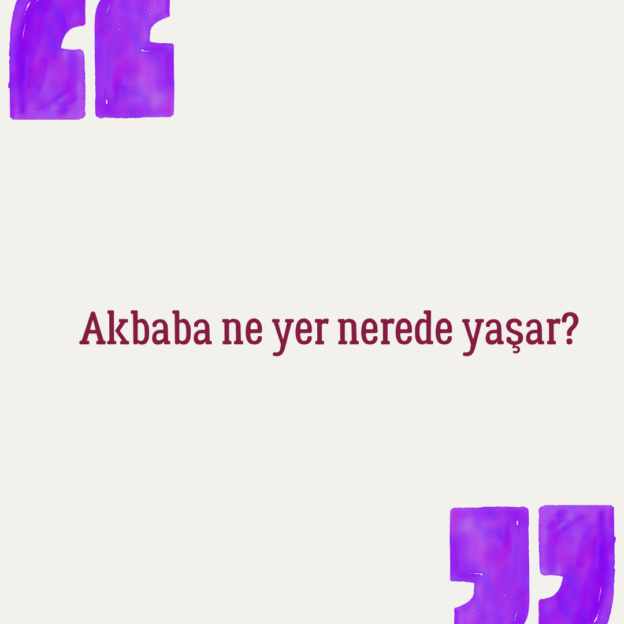 Akbaba ne yer nerede yaşar? 1