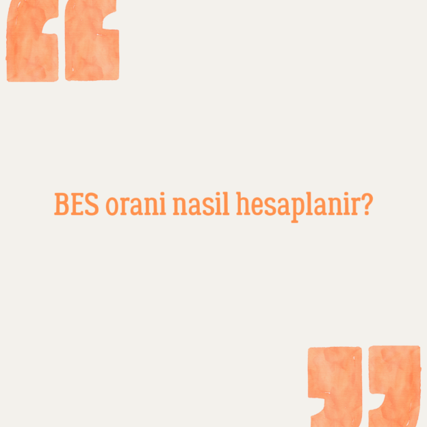 BES orani nasil hesaplanir? 1