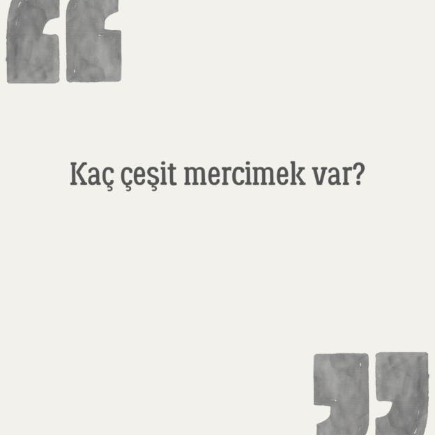 Kaç çeşit mercimek var? 1