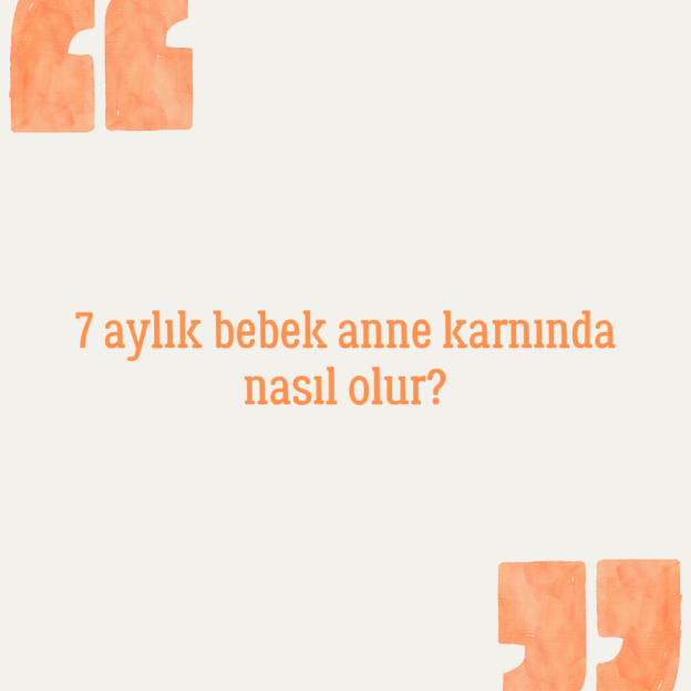 7 aylık bebek anne karnında nasıl olur? 1