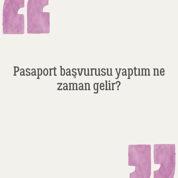 Pasaport başvurusu yaptım ne zaman gelir? 1