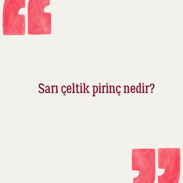 Sarı çeltik pirinç nedir? 1