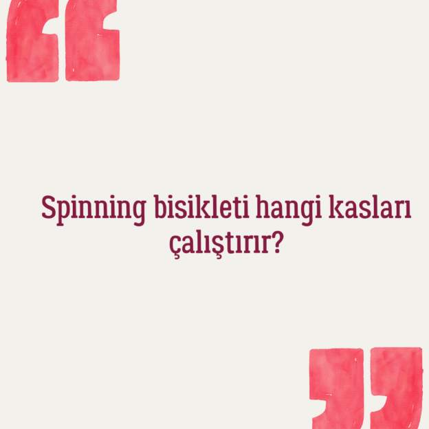 Spinning bisikleti hangi kasları çalıştırır? 1