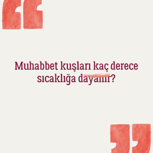 Muhabbet kuşları kaç derece sıcaklığa dayanır? 1