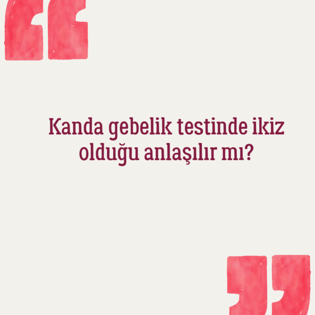 Kanda gebelik testinde ikiz olduğu anlaşılır mı? 1