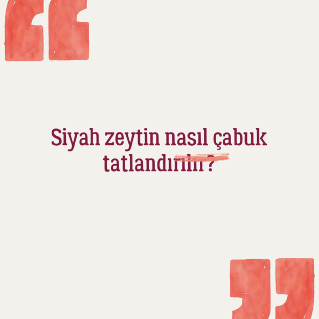 Siyah zeytin nasıl çabuk tatlandırılır? 1