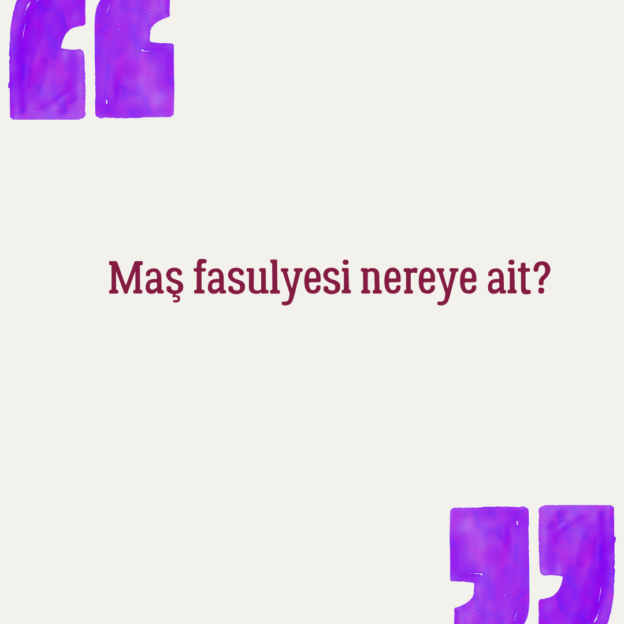 Maş fasulyesi nereye ait? 1