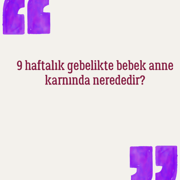 9 haftalık gebelikte bebek anne karnında nerededir? 1