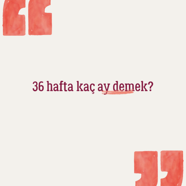 36 hafta kaç ay demek? 1